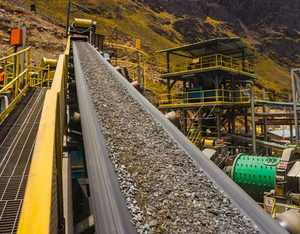 fajas de planta cori puno